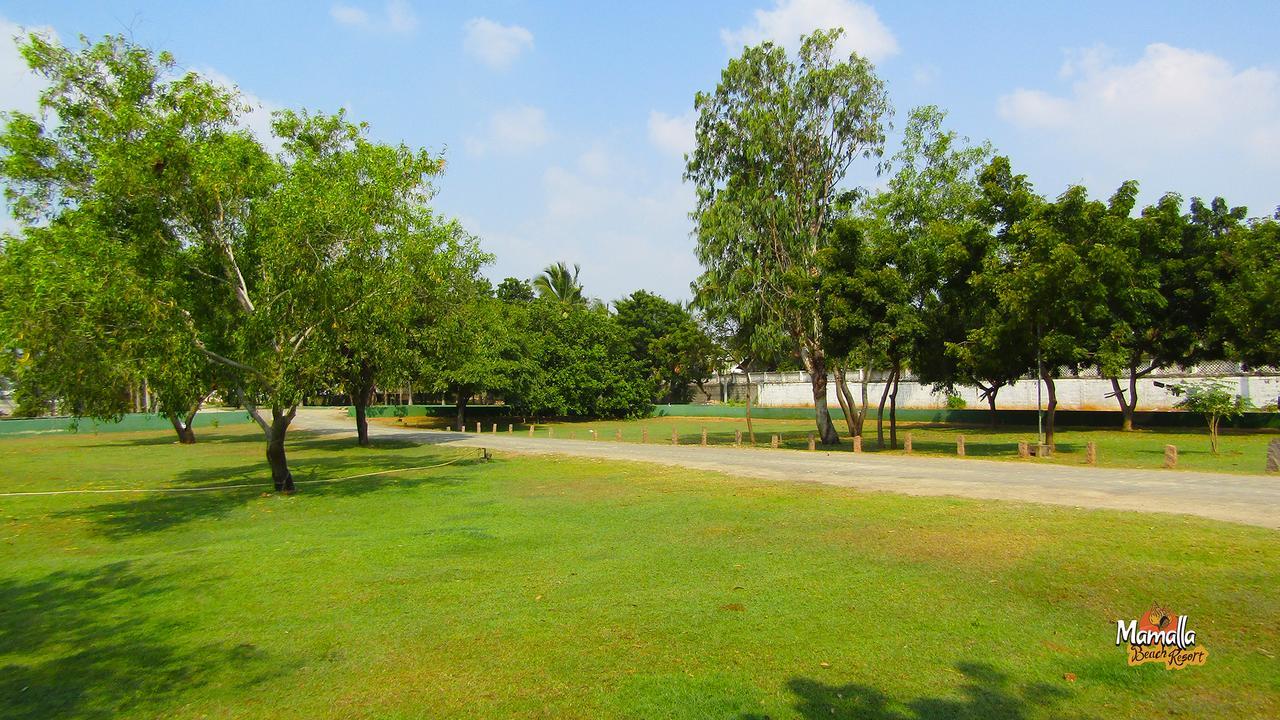 Mamalla Beach Resort 마하발리푸람 외부 사진