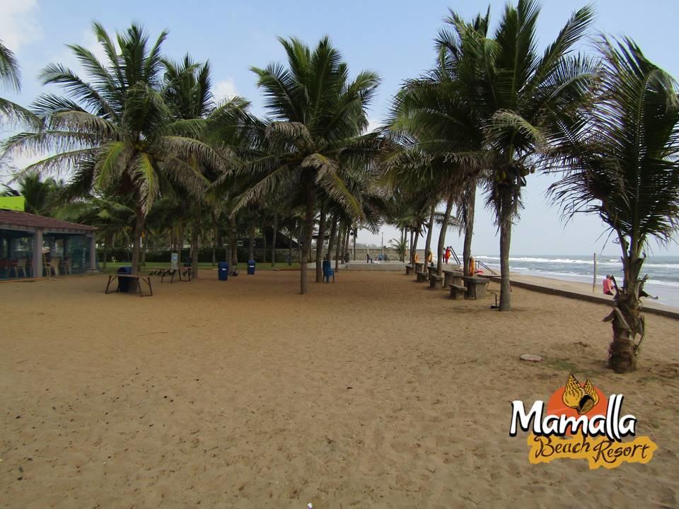 Mamalla Beach Resort 마하발리푸람 외부 사진